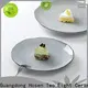 Two Eight speckled ceramic plate for business for dinning room 1