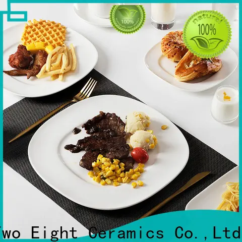 Two Eight dinner plates porcelain Supply for restaurant 1