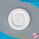 Best ceramic leaf plate factory for bistro 1