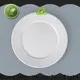 Two Eight flat ceramic plate Suppliers for restaurant 1