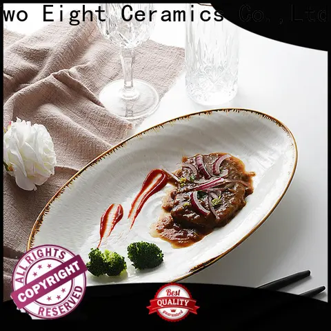 Best white dinner plate with silver line for business for bistro 1