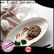 Best white dinner plate with silver line for business for bistro 1