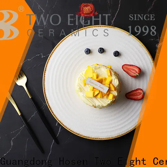 Two Eight divided ceramic plates for business for dinner2 1