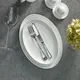Discount Porcelain Dinnerware Sets for Apartment 100 SETSquality Assurance 9