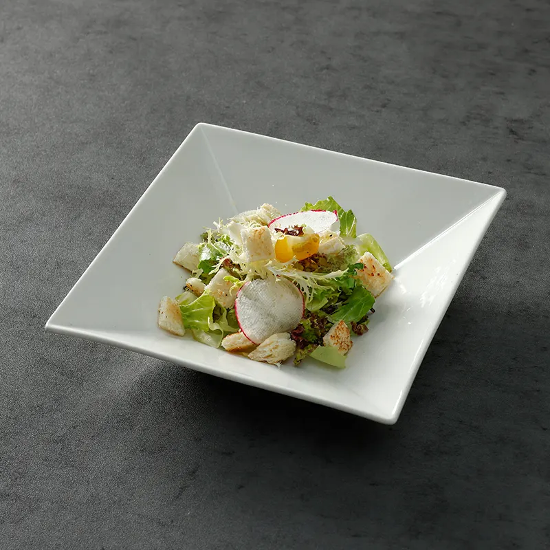 For House Catering Dinnerware HOTEL & RESTAURANT by Two Eight 8