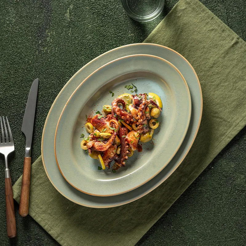 Oem & Odmgrey Porcelain Dinnerware for Wholesale Aurora-Series WESTERN UNION 2