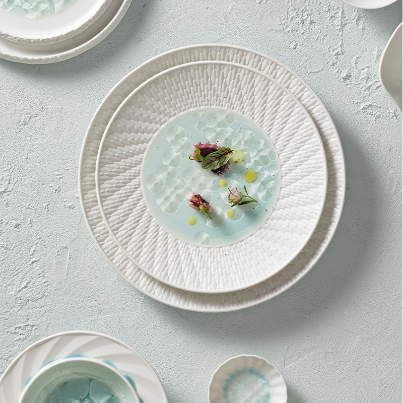 Frost Collection - 2026 Color Glazed Ceramic Dinnerware Set 2