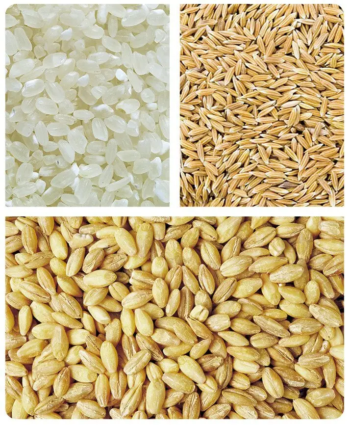 suitable pouch packing machine big with simple structure for materials with slight viscosity 7