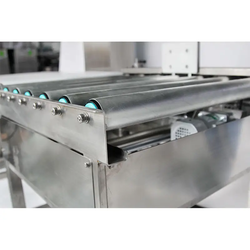 Check Weigher System