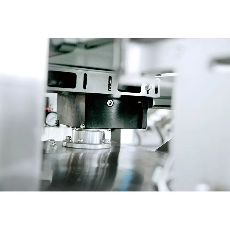 Bulk Production Check Weight Scale Factory for Food Packing 3