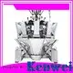 weighing instruments standard weight checker Kenwei Brand 1