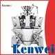 Kenwei Brand powder feeding weighing instruments output supplier 1