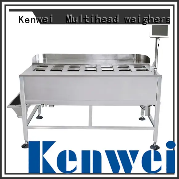 weighing instruments cheese weight checker Kenwei Brand 1