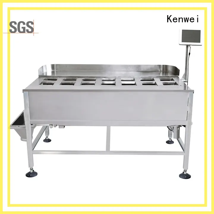 Kenwei Brand feeding control steel custom weighing instruments 1