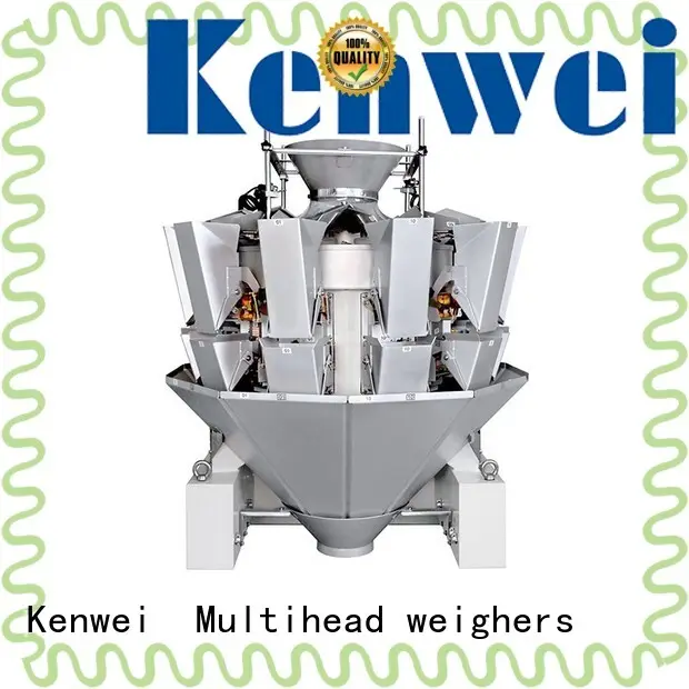 frozen bagging machine feeding with high quality for materials with high viscosity 1