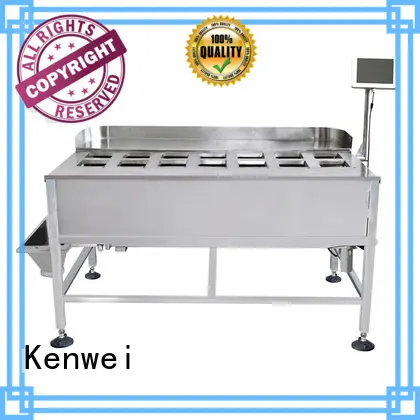 Kenwei stability packing machine china with high quality for spicy fish 1