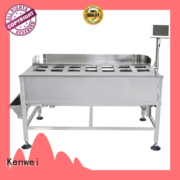 Kenwei frozen food weight scale with high-quality sensors for materials with oil 1