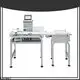 high quality industrial scale design 1