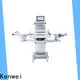 Kenwei industrial scale from China1 1