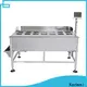 Kenwei custom bottling machine affordable solutions 1