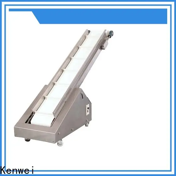 standard conveyor equipment customization 1