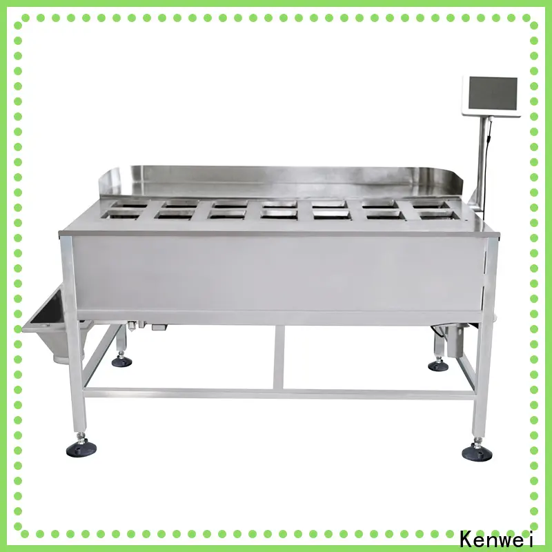 Kenwei custom bottling machine manufacturer 1