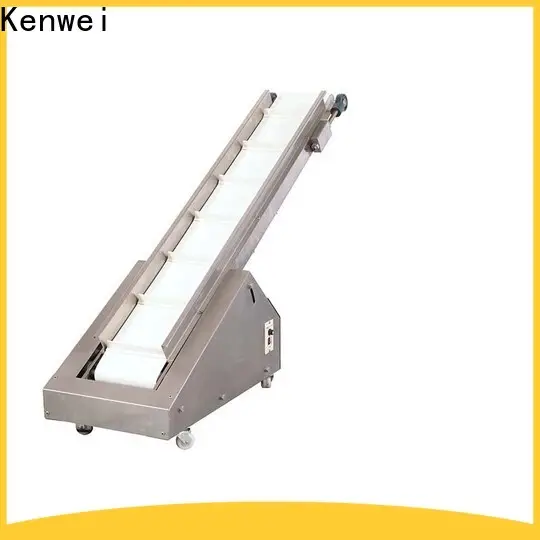 100% quality conveyor system customization 1
