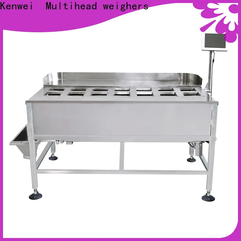 Kenwei simple food weight scale design 1