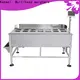 Kenwei simple food weight scale design 1
