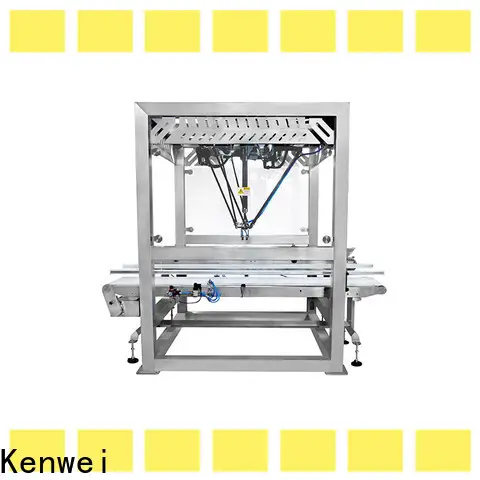 Kenwei packing robot wholesale 1