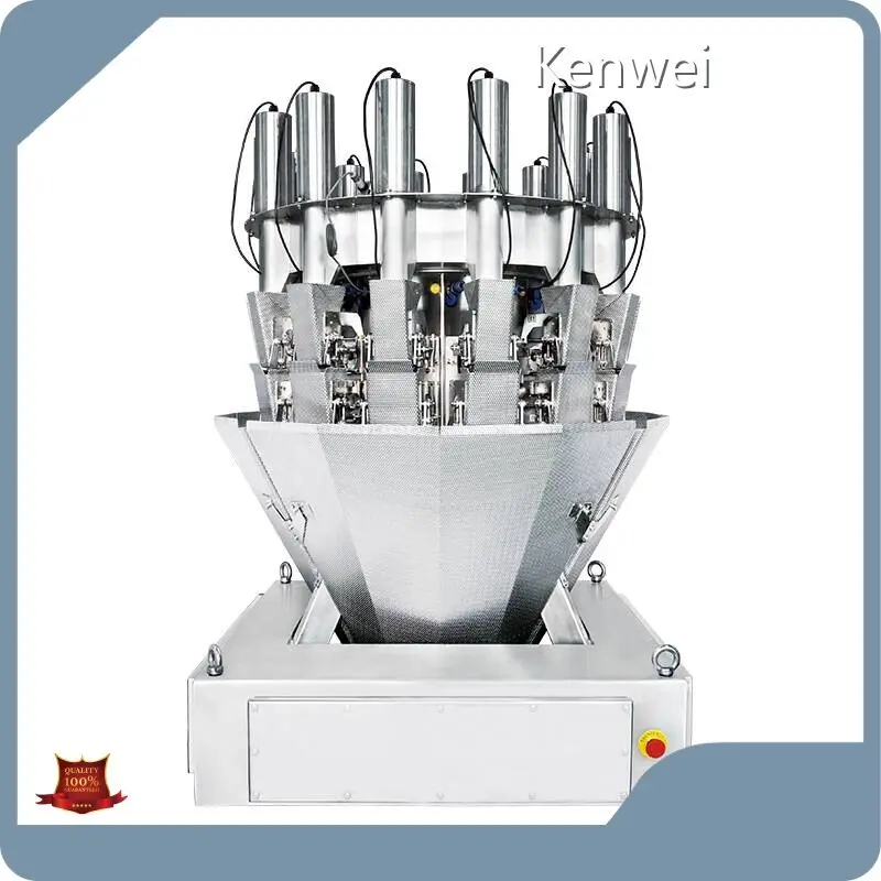 Bulk Productionsnack Pack for Frozen Food Step Motor X(1) 1