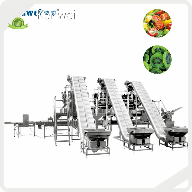 Kenwei Vegetable Packaging Machine OEM/ODMsupply 1