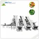 Kenwei Vegetable Packaging Machine OEM/ODMsupply 1