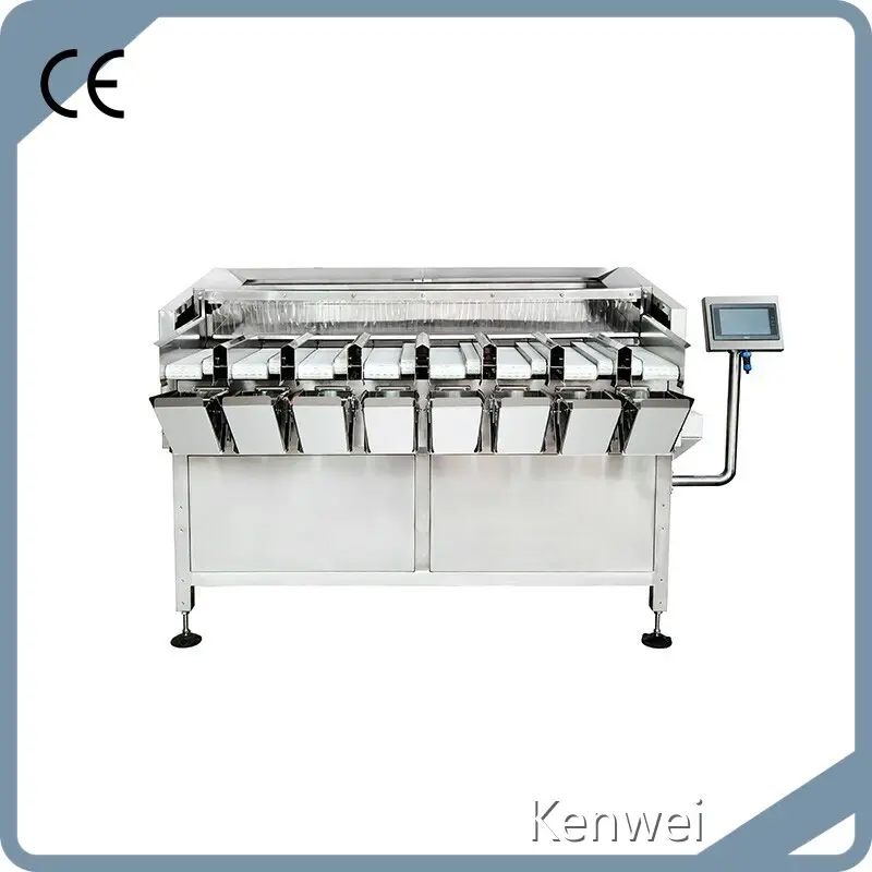 Vertical Form Fill and Seal Machines 10~1000g L/Cfactory Direct Supply 1