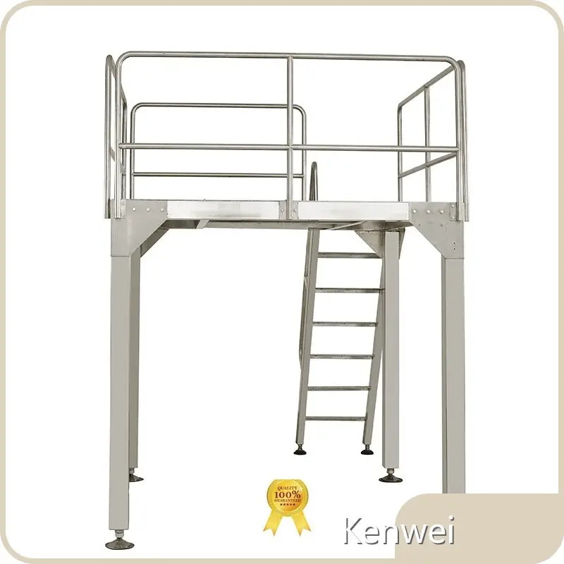 Professional Conveyors for Sale Directly Sale for Snack Food 1