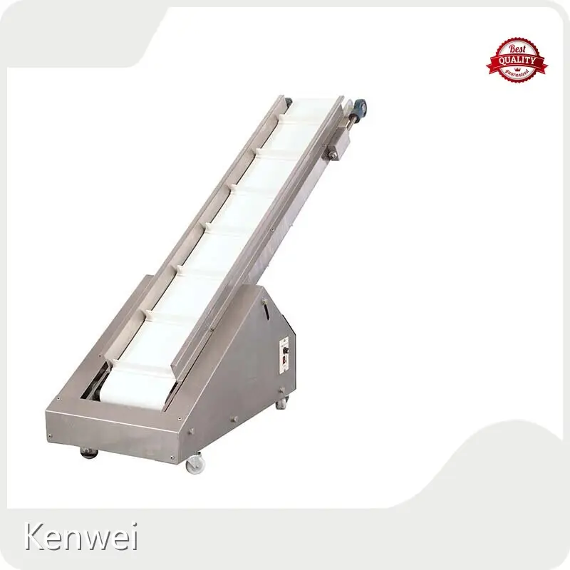 Cost-Effective Accumulation Table Conveyor Directly Sale for Food Packing 1