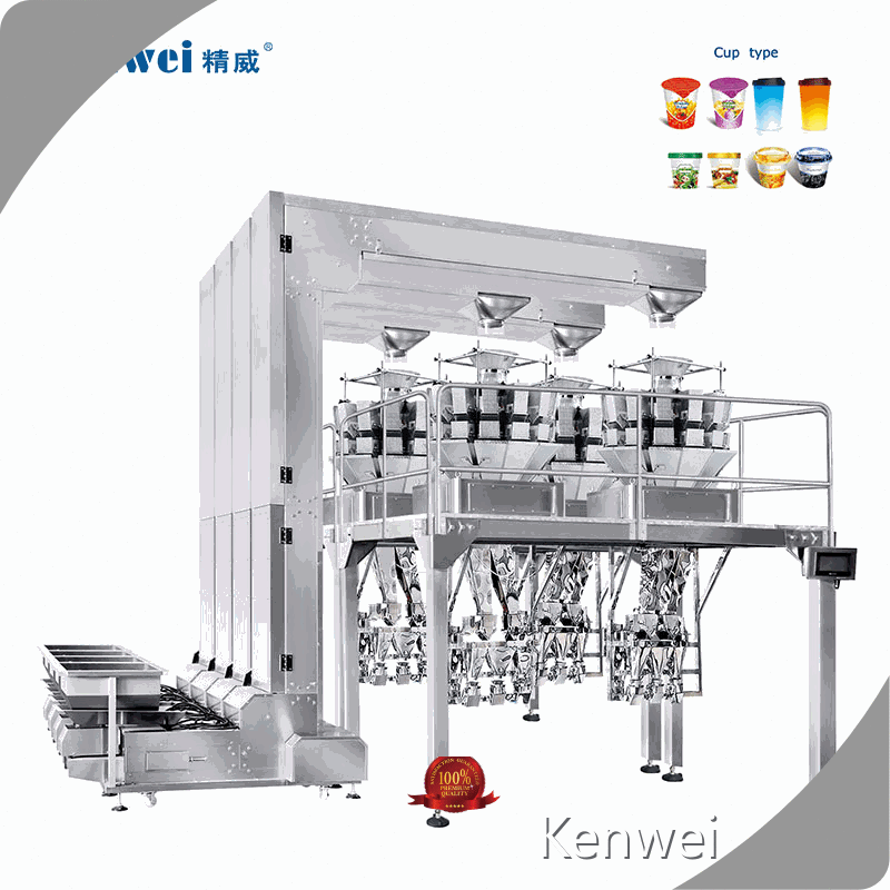 Canned Food Packaging Machine OIML - for Food Packing - Kenwei 1