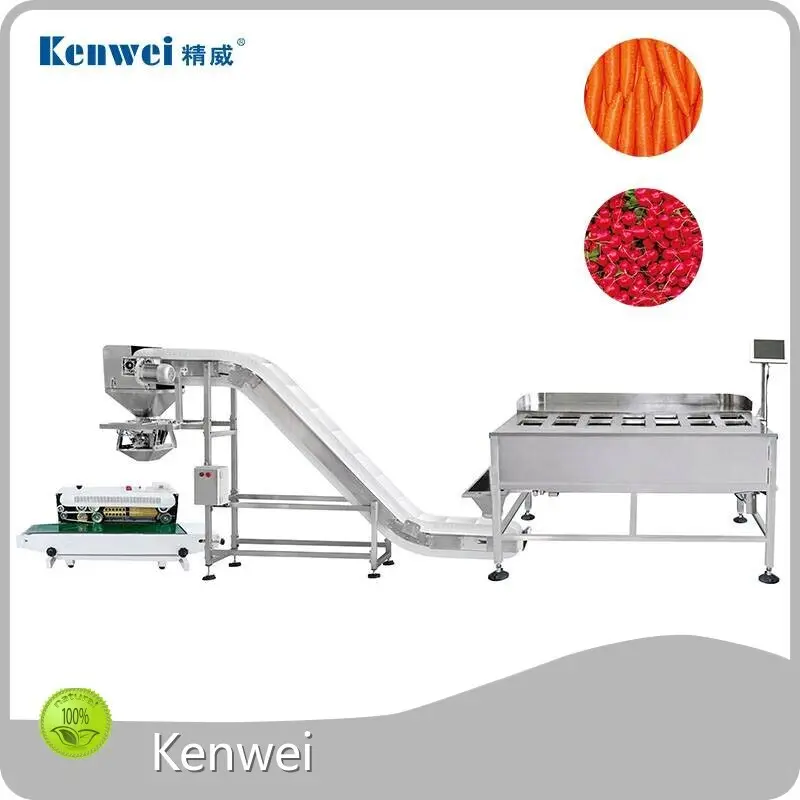 Customized Onion Packing Machine Manufacturing for Snack Food 1
