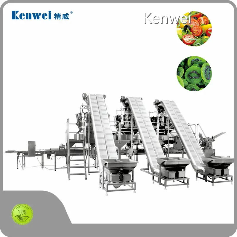 Frozen Food Packaging Machine for Fresh Food & Fruit OEM/ODMfactory 1