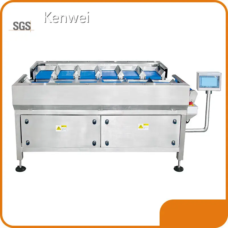 Process Packaging Machinery 30P/M Kenweifactory 1