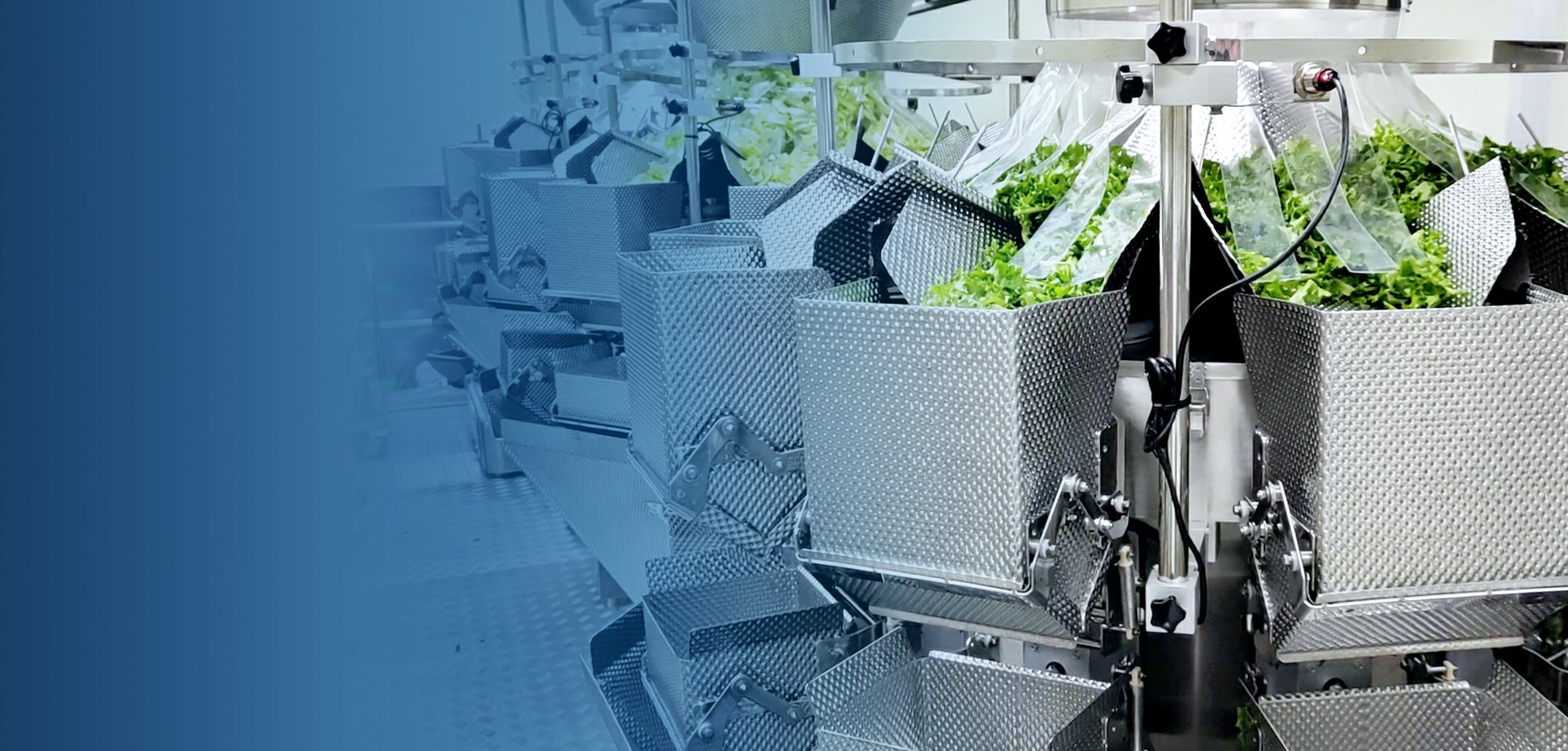 20+ Years Multihead Weigher Manufacturer