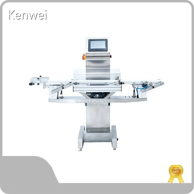 Bulk Production Check Weight Scale Factory for Food Packing 1