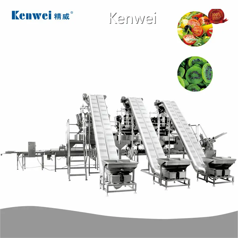 Kenwei Vegetable Packaging Equipment 50~1000g Vegetable Packaging Equipment Supplier 1