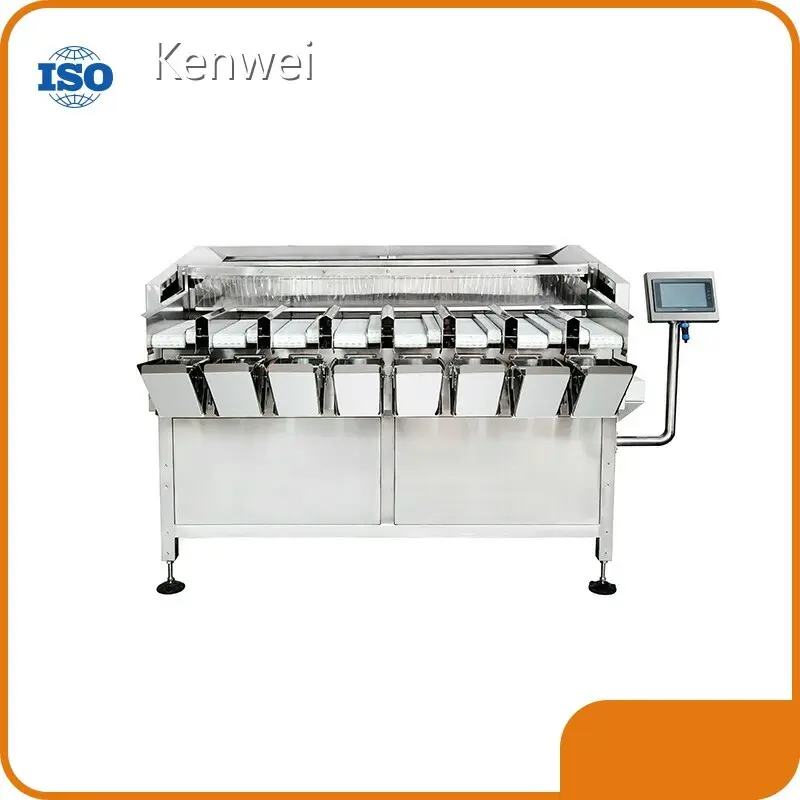 Hot Sale Automatic Weighing and Filling Machine for Non Food Packing 1
