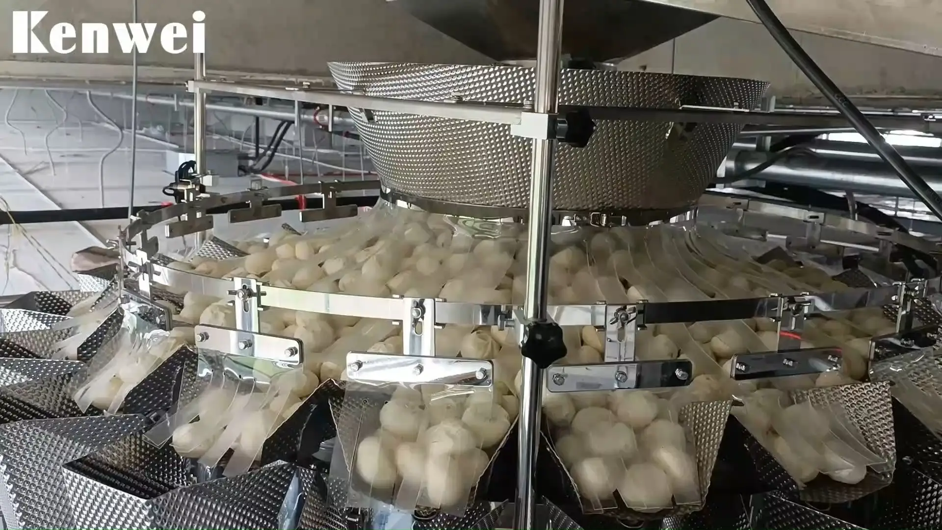 Vertical Frozen Food Packaging Machine for IQF Products | JW-B1 1