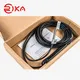 Rika Sensors temperature sensor for soil supplier for soil monitoring 3