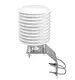 Rika Sensors buy moisture and temperature sensor vendor for temperature monitoring 5