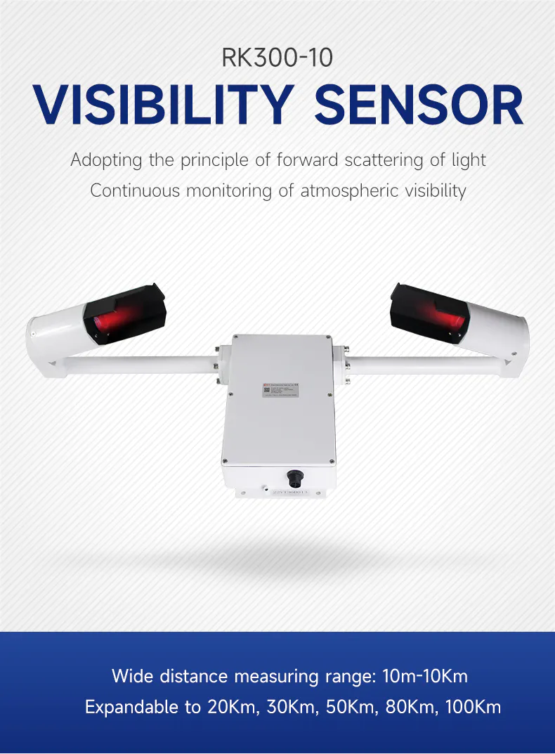 product-Rika Sensors-img-4