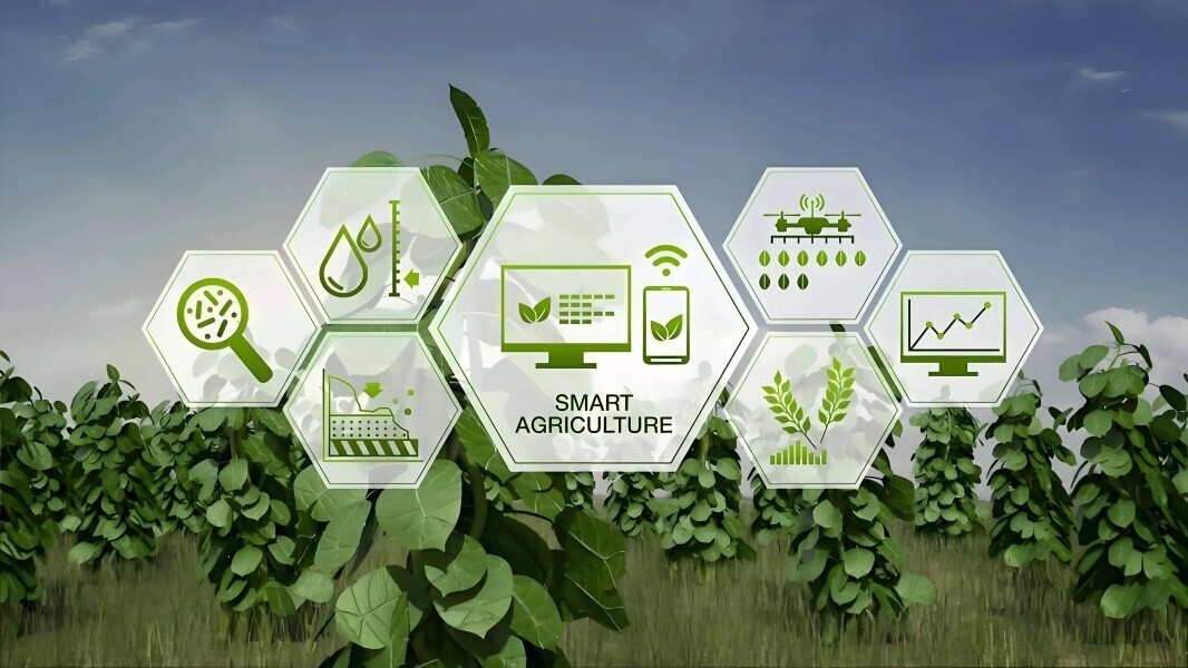 RIKA SENSOR's Smart Agriculture Environment Monitoring Solution 1