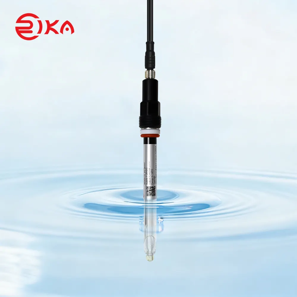 RK500-12 Type-B2 Submersible pH Sensor